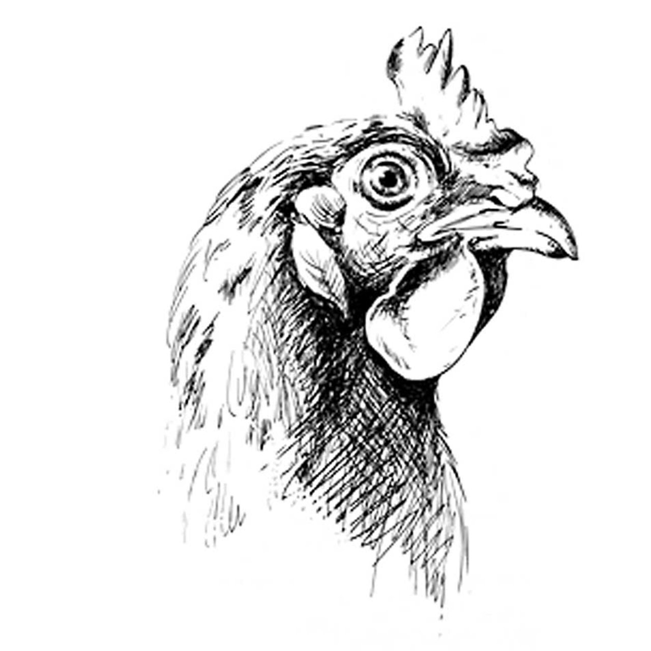 poultry-compound-feed-chicken-fattening-poultry-feed.jpg Mixed feed for chicken and other poultry