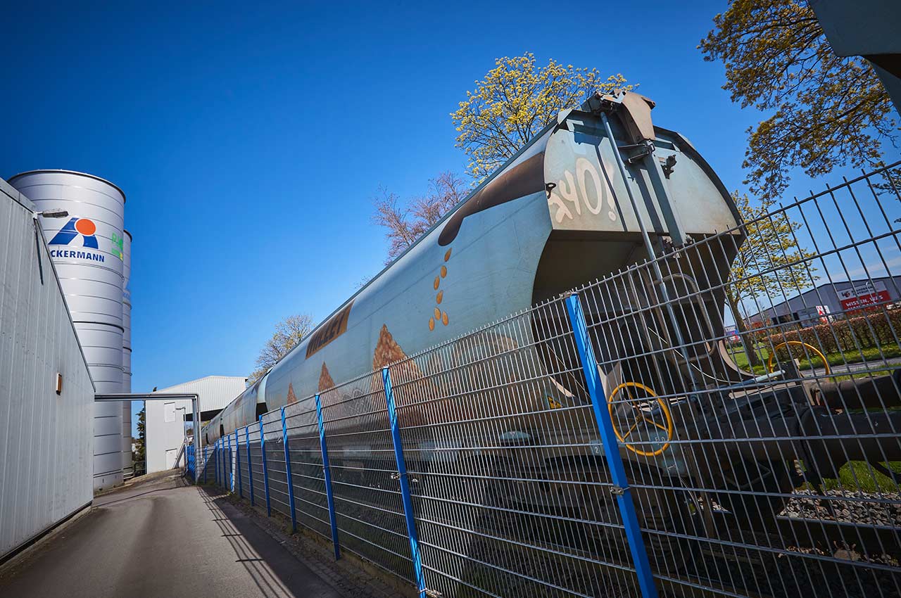 Delivery of rapeseed with a train