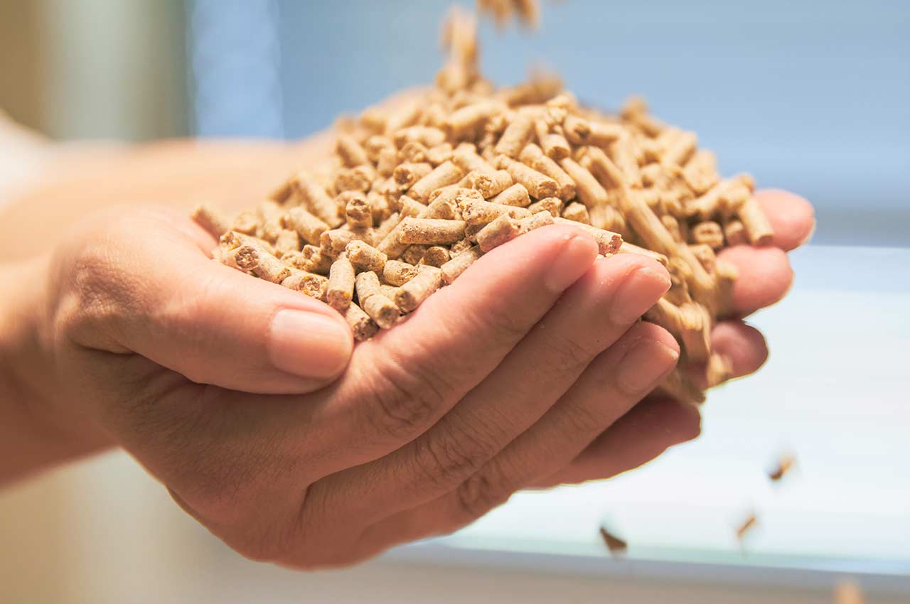 Mixed feed pellets for cattle in Hands
